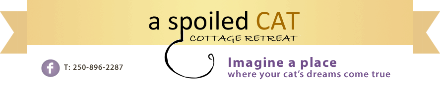 A Spoiled Cat Cottage Retreat